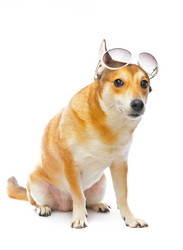 Similar image 107954