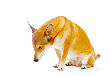 Similar image 107957