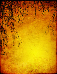 Similar image 107973