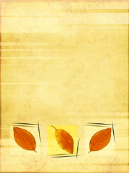 Similar image 107975