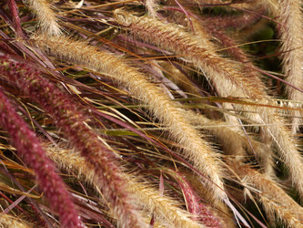 Similar image 107980