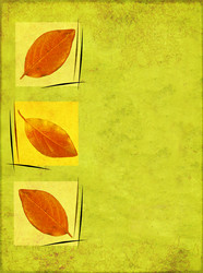 Similar image 107983