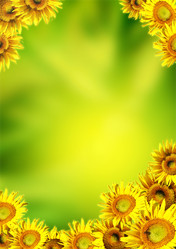 Similar image 107990