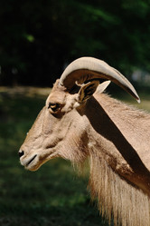 Similar image 108009