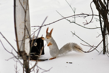 Similar image 108011