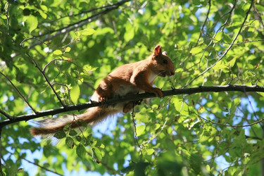 Similar image 108026