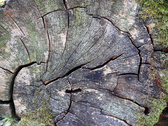 Similar image 108073