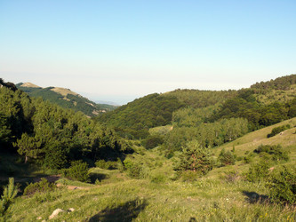 Similar image 108075