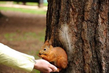 Similar image 108113