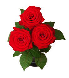 Similar image 108147