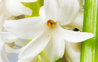 Similar image 108148