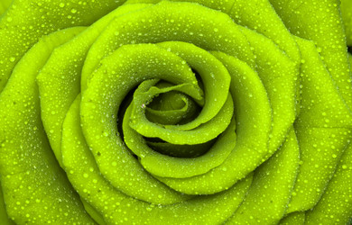 Similar image 108159