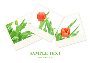 Similar image 108179