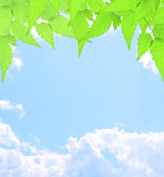 Similar image 108186