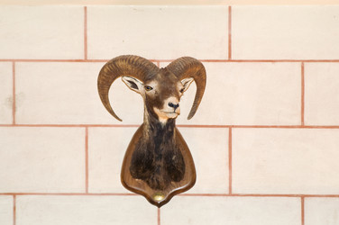 Similar image 108201