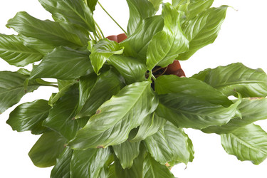 Similar image 108208