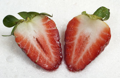 Similar image 108225