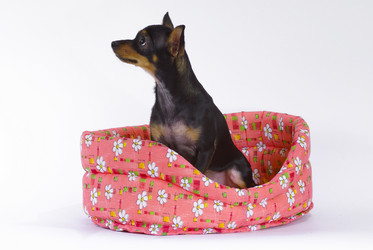 Similar image 108237