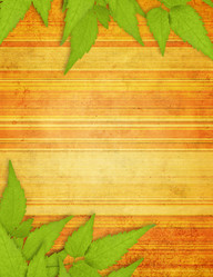 Similar image 108272