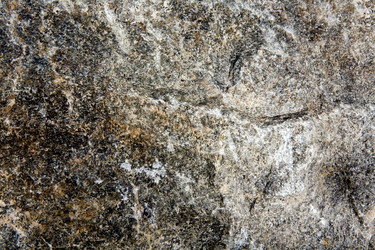 Similar image 108307