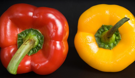 Similar image 108337