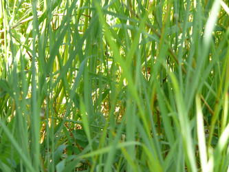 Similar image 108360