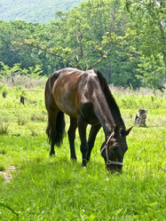 Similar image 108397