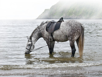 Similar image 108400