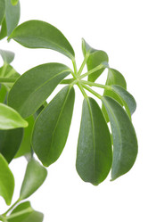 Similar image 108409