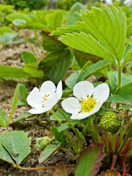 Similar image 108412