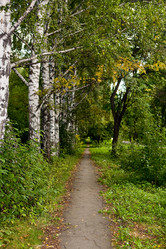 Similar image 108424