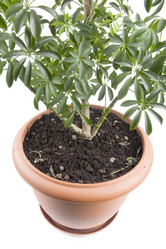 Similar image 108425