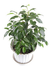 Similar image 108427