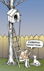 Similar image 108429