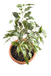 Similar image 108431