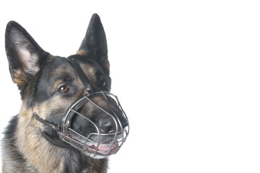 Similar image 108432