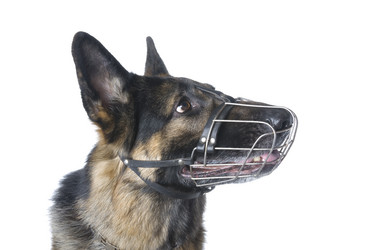 Similar image 108434