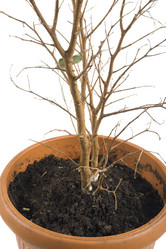 Similar image 108438