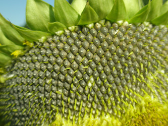 Similar image 108454