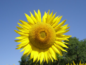 Similar image 108456