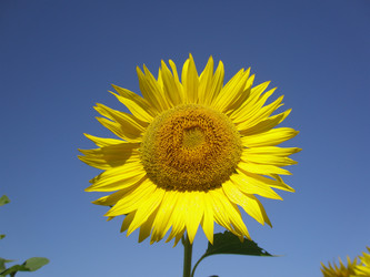 Similar image 108464