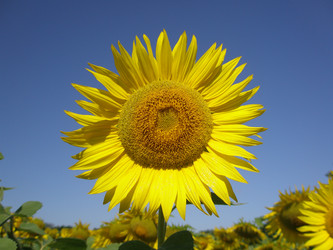 Similar image 108468