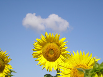 Similar image 108469