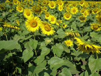 Similar image 108472