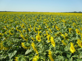 Similar image 108473