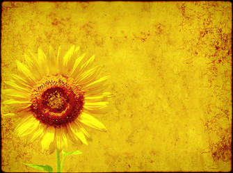 Similar image 108488