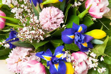 Similar image 108517