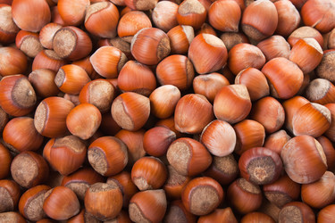 Similar image 108554