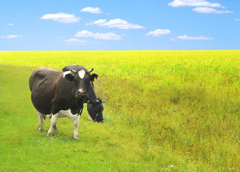 Similar image 108562