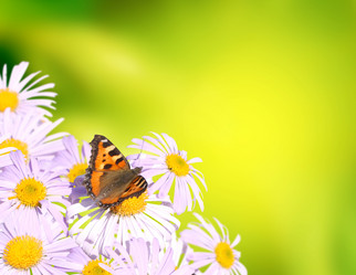 Similar image 108567